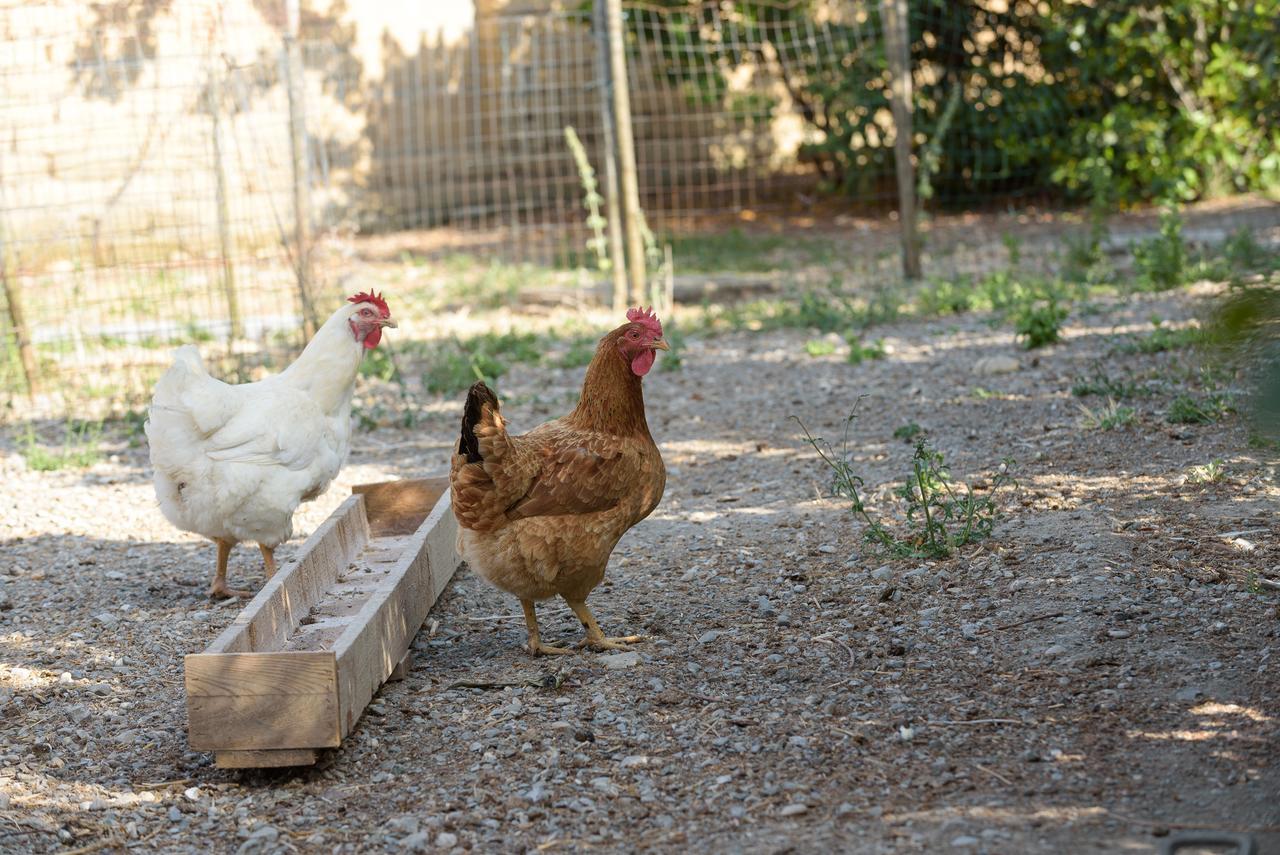 Agriturismo Casapicchiata Βίλα Πιέντσα Εξωτερικό φωτογραφία